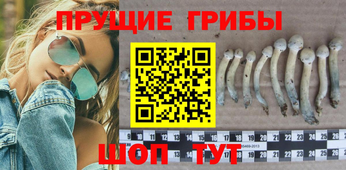 Псилоцибиновые грибы GOLDEN TEACHER Алейск